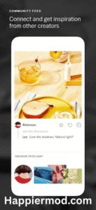 VSCO Premium Unlocked [MOD APK] Download Latest v437 3