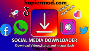 Vidget Video Downloader App Latest Version 2025 1